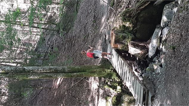sentier pédestre : sentier forestier de Mayères