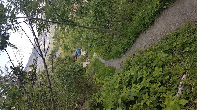 sentier pédestre : sentier forestier de Mayères