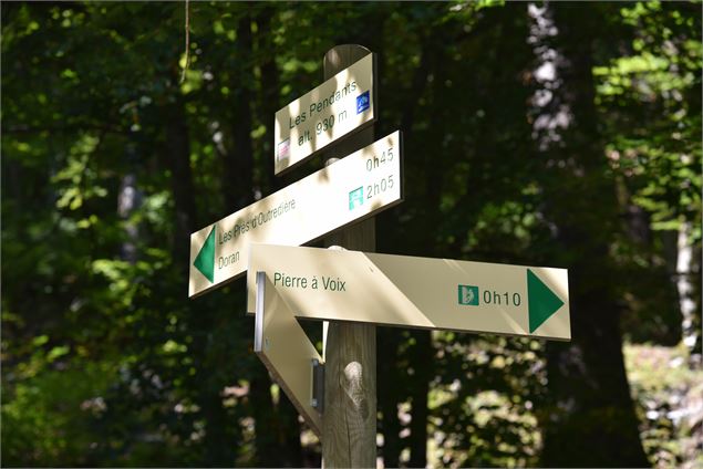 signalétique au croisement du sentier du Gypaète - Wendy Vincent