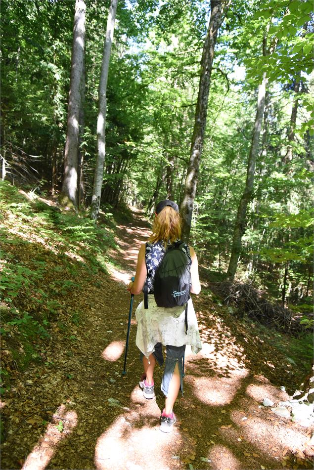 chemin forestier pour l'accès à la Pierre à Voix - Wendy Vincent
