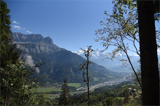vue sur le Mont-Blanc depuis la Pierre à Voix - Wendy Vincent