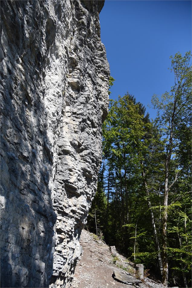 monolythe calcaire et voies d'escalade - Wendy Vincent