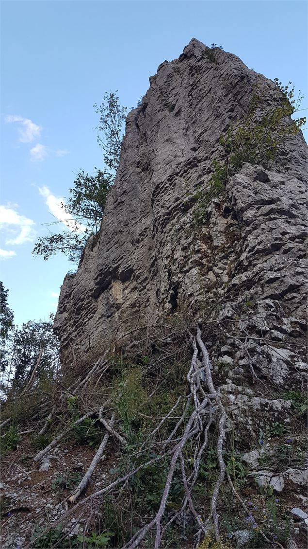 vue de derrière - Wendy Vincent
