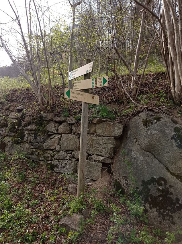 sentier pédestre : circuit des coteaux - Patrice Labarbe