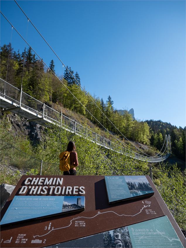 Balade du Plateau d'Assy au Lac Vert par la passerelle du Nant Bordon_Passy - Bichette Voyage