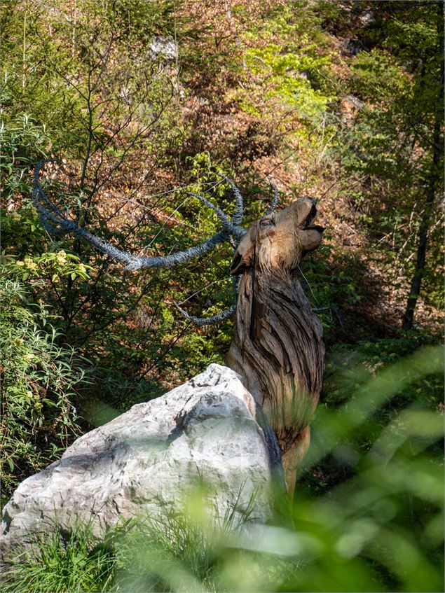Balade du Plateau d'Assy au Lac Vert par la passerelle du Nant Bordon_Passy - Bichette Voyage