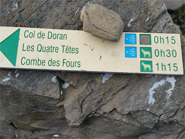 sentier pédestre : les Quatre Têtes par Doran (2364 m) - Amandine Porret