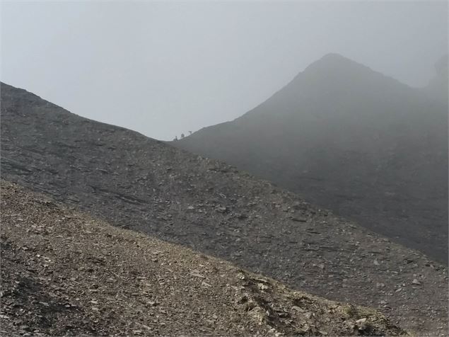 bouquetins dans les nuages - Amandine Porret