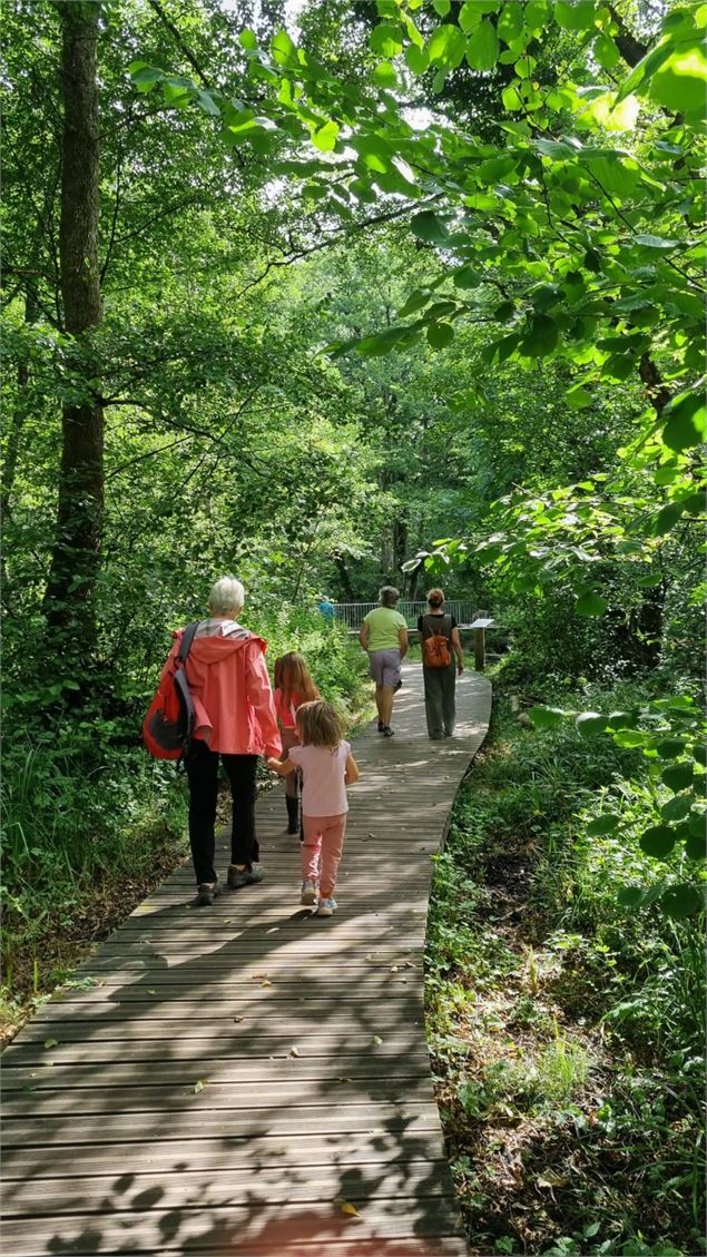randonnée pédRestre : Marais des Bidonnes et Canal de Crans_Divonne-les-Bains - ©AMbarbe