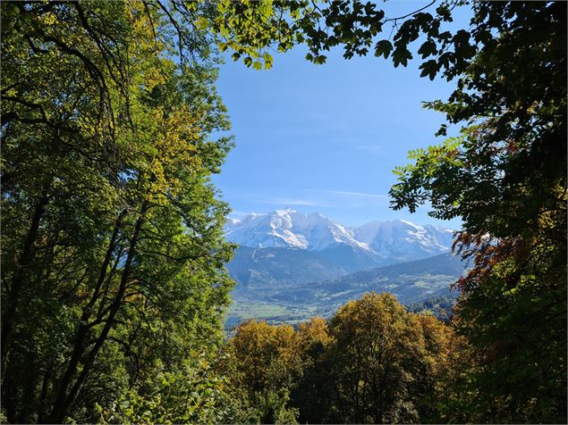 fenêtre sur le Mt Blanc - Wendy Coulon