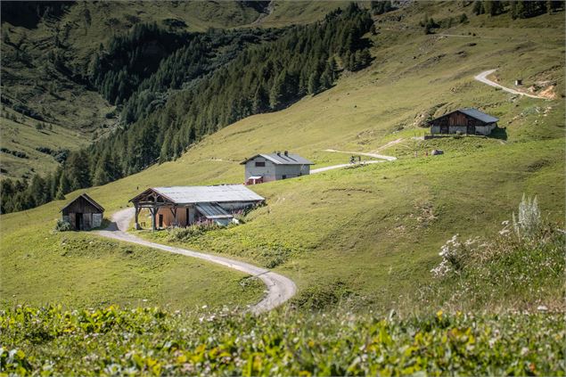 Alpages de Prajourdan - A.Abondance