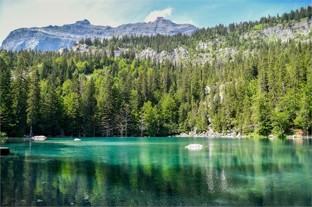 Lac  Vert - Arnaud Lesueur 2023