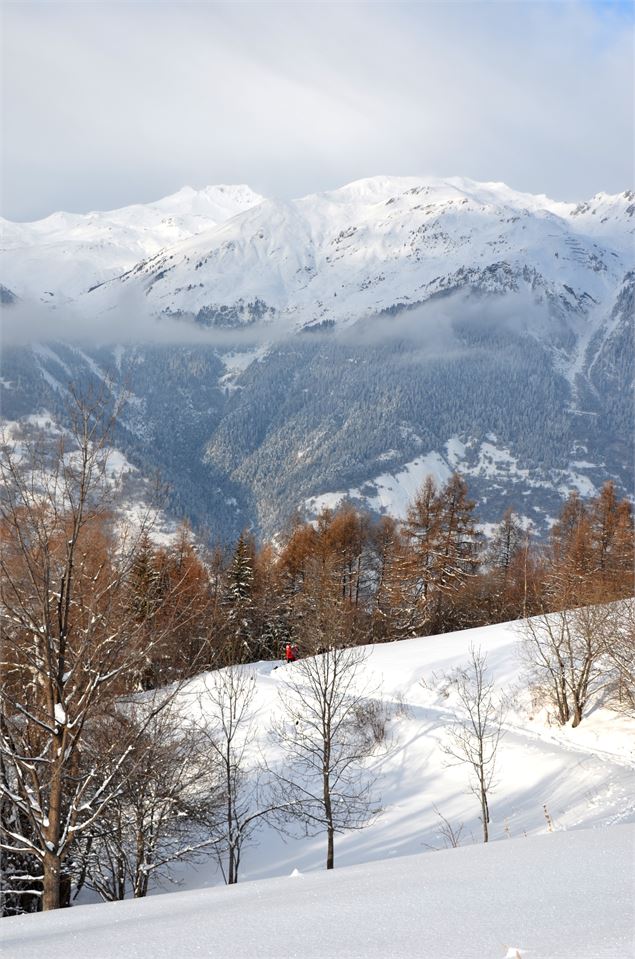 Sentier - Maison de Montalbert