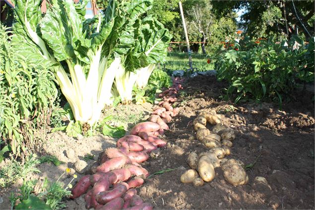 Ferme de Chosal - OT Monts du Genevois - A.Modylevskaia