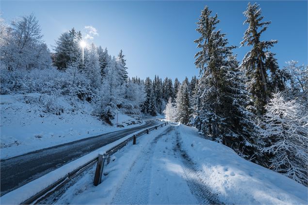 Route - Juliette Rebour