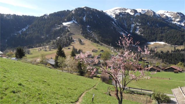 Chemin - Cluses Arve & montagnes Tourisme