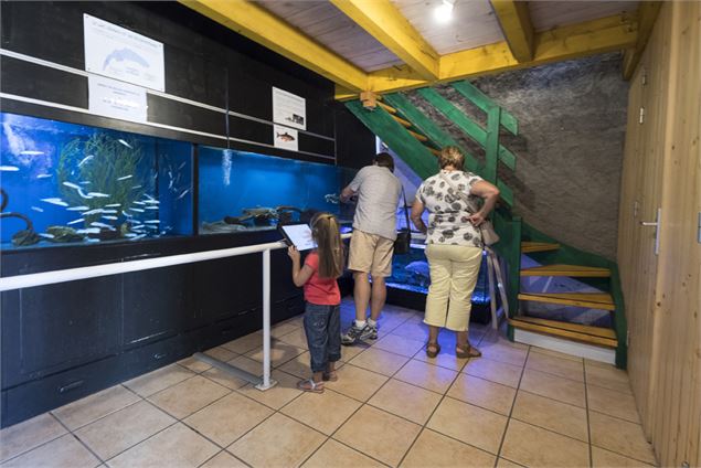 Sémaphore photographies