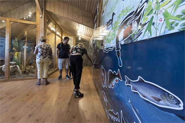 Sémaphore photographies