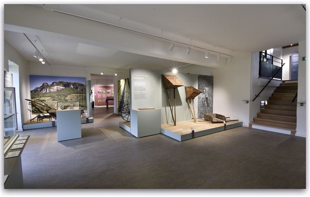 Musée de la vigne et du vin de Savoie - Musée de la vigne et du vin de Savoie