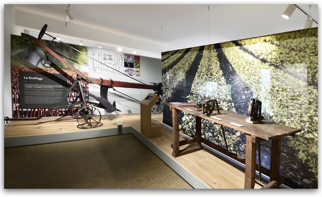 Musée de la vigne et du vin de Savoie - Musée de la vigne et du vin de Savoie