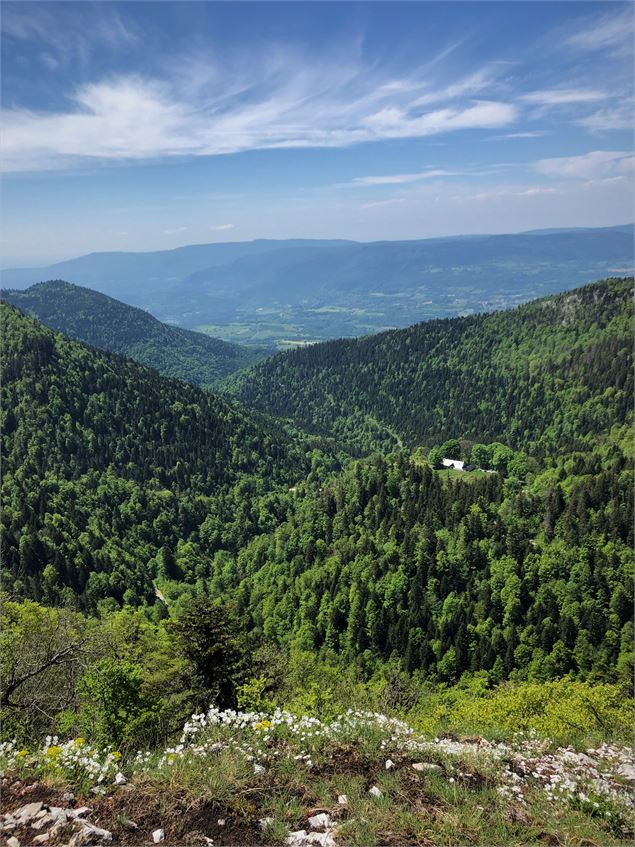 Vue sur Arvière et le Valromey depuis les Crêtes de Sur Lyand - ©D. Ballet