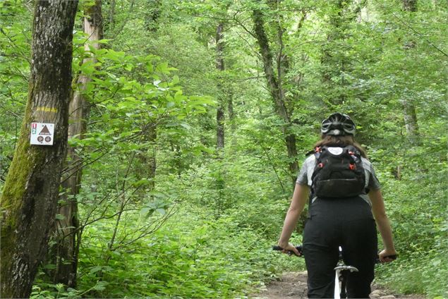 Au Mont Mussy - ©Nicolasgascard