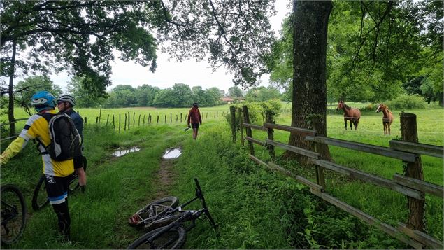 Base VTT Espace Bresse_Malafretaz