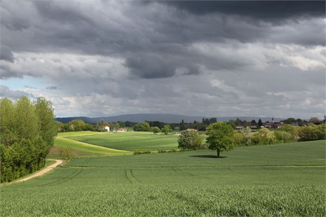 Circuit VTT-VTC n°3 (bleu) - L'arboretum d'Etrez