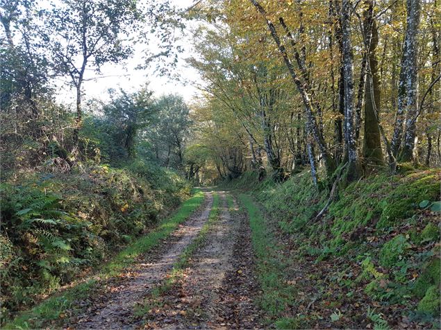 Circuit VTC-VTT n°4 (rouge) - La Voie Royale - scalland