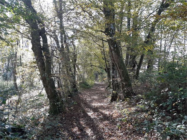 Circuit VTC-VTT n°4 (rouge) - La Voie Royale - scalland