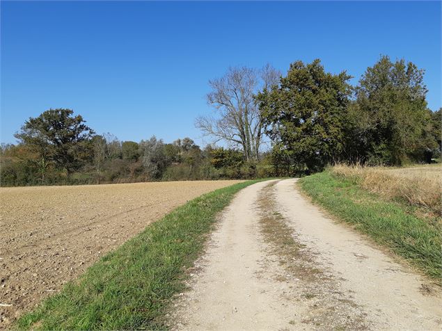 Circuit VTC-VTT n°4 (rouge) - La Voie Royale - scalland