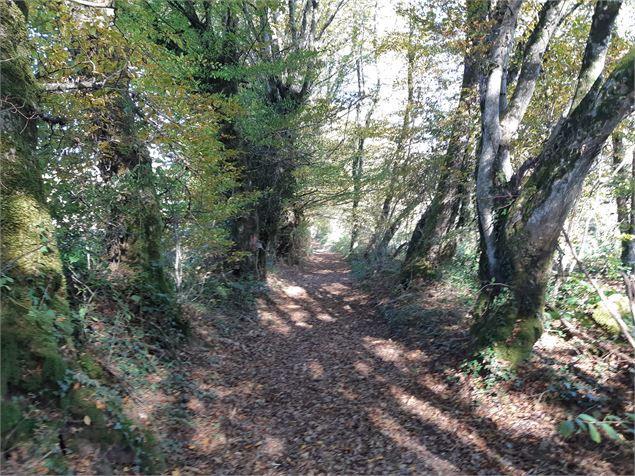 Circuit VTC-VTT n°4 (rouge) - La Voie Royale - scalland