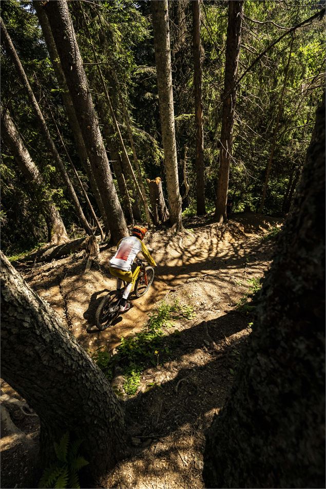 Photo prise de haut d'un vttistex dans le tracé de la piste entre les arbres - L.Meyer-Châtel