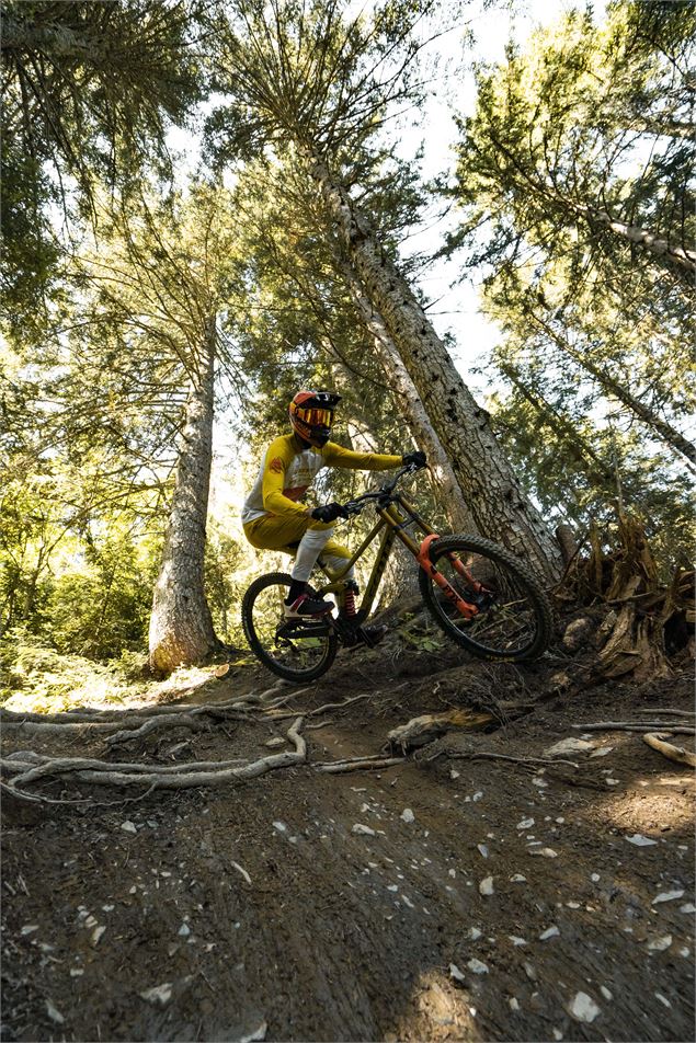 VTTiste sur le parcours racineux de la piste - L.Meyer-Châtel
