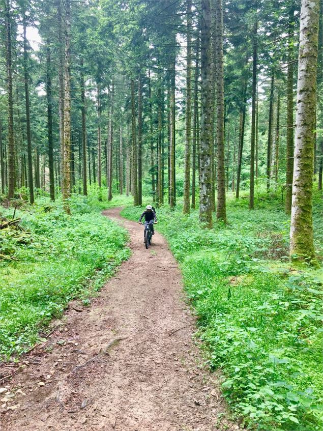 Parcours VTT 54 bleu - Arans et les Hauts d'Evosges - Espace FFC Ain Forestière - Benjamin Dessales