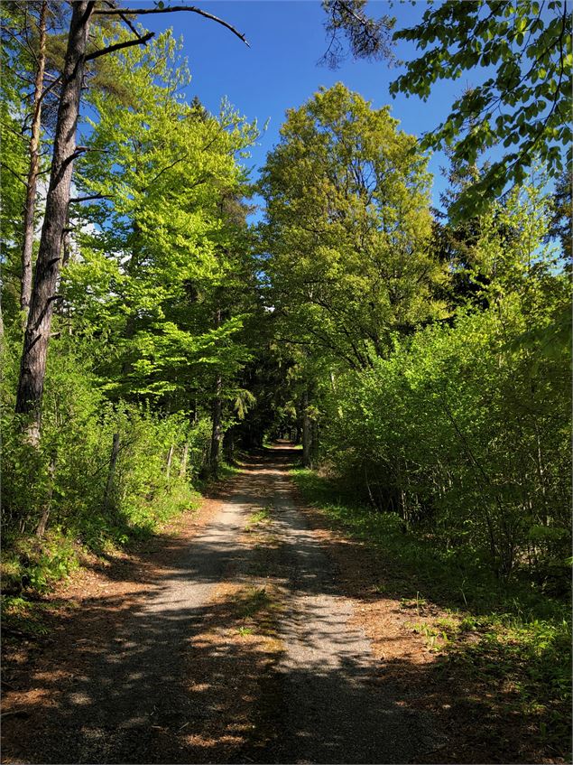 Chemin des étoiles à l'Observatoire de la Lèbe - M.Ballet