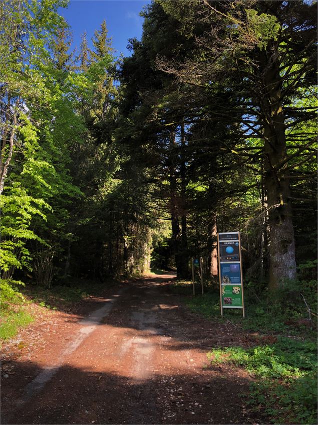 Chemin des étoiles à l'Observatoire de la Lèbe - M.Ballet