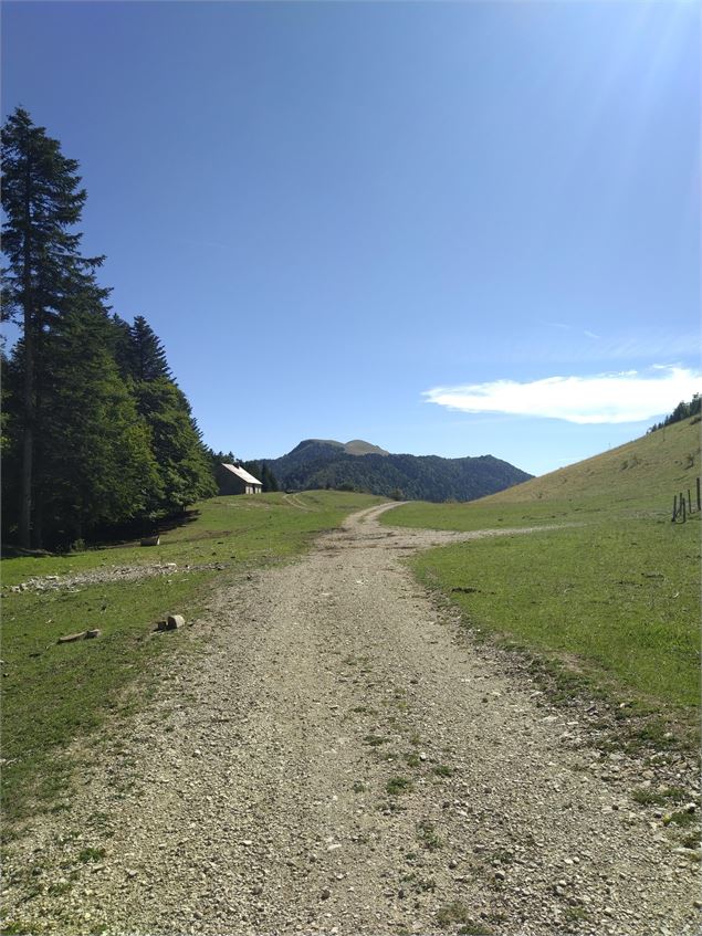 Vue sur le Grand Colombier depuis la Grange Fallavier - M.Ballet