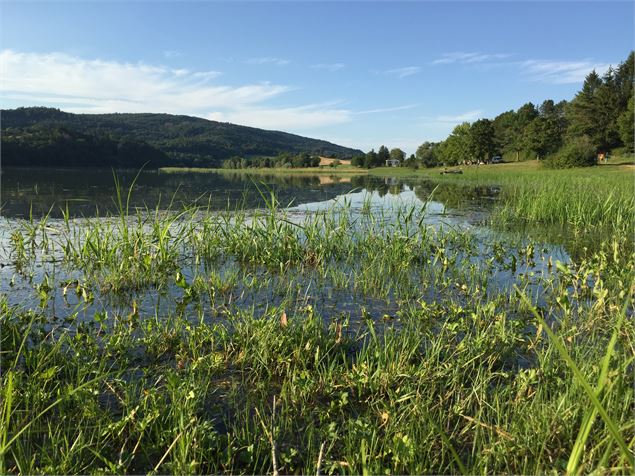 Parcours VTT 72 Rouge - Des Gorges de l'Oignin aux Gorges de l'Ain - Espace FFC Ain Forestière - Jea