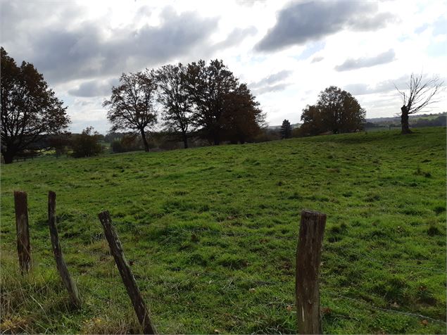 entre Beaupont et Domsure - scalland