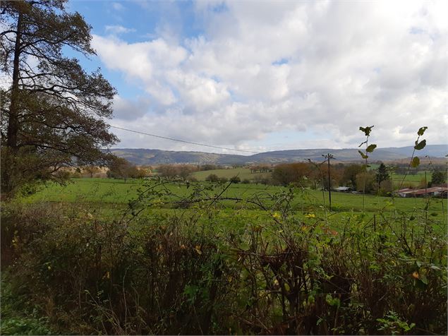 entre Beaupont et Domsure - scalland