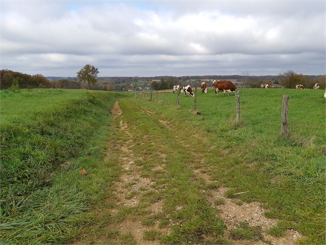 Fougemagne - Coligny - S CALLAND