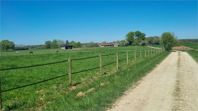 Liaison VTT-VTC (L2) - La Plaine Tonique Plan d'eau de Mépillat - scalland