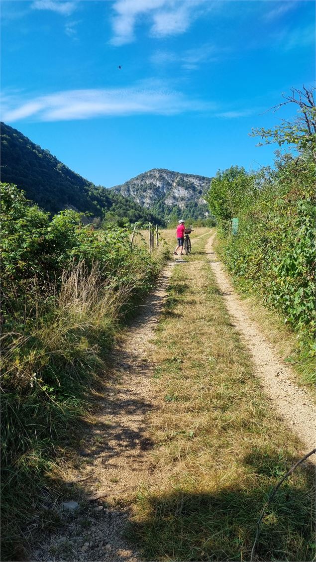 Gorges de l'Ain à VTT - scalland