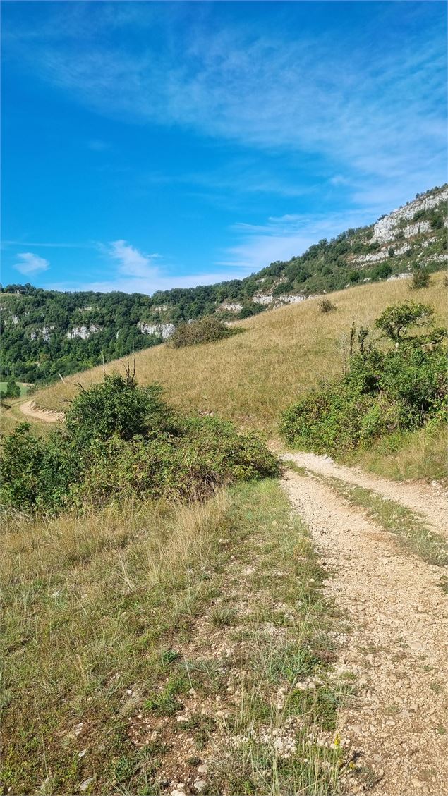 Gorges de l'Ain à VTT - scalland