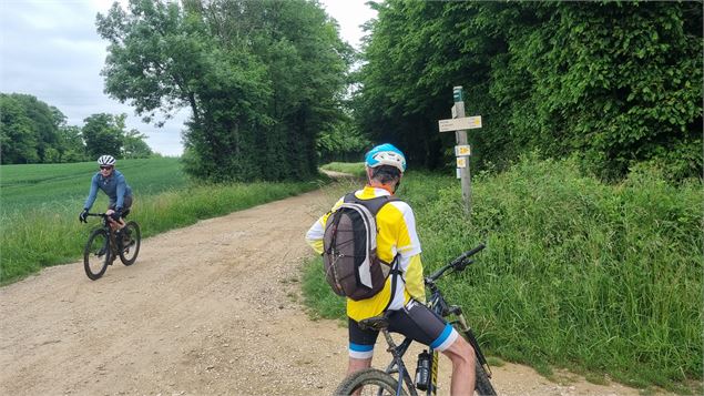 La Grande Sarrasine Tour - GBA