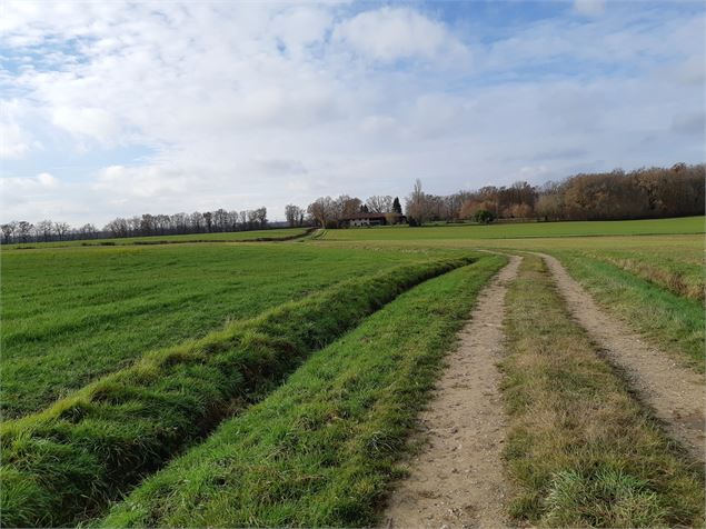 Circuit VTT-VTC n°22 (bleu) La Petite Sarrasine - scalland
