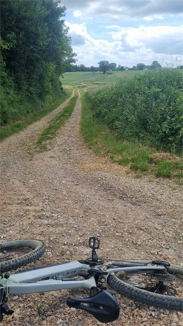 Circuit VTT-VTC n°22 (bleu) La Petite Sarrasine_Saint-Trivier-de-Courtes - scalland