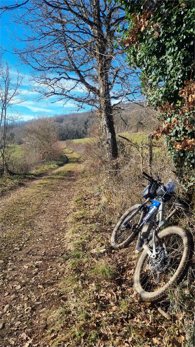 Circuit VTT n°22 (rouge) Entre vignoble et Gorges du Suran_Bohas-Meyriat-Rignat - scalland