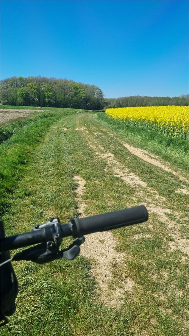 Liaison VTT (L6) St Trivier de Courtes - Plan d'eau de Mépillat - scalland